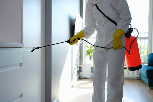 Best Residential Mold Removal  in Ocean Ridge, FL