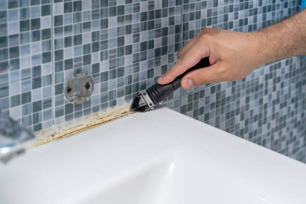 Certified Mold Removal in Ocean Ridge, FL